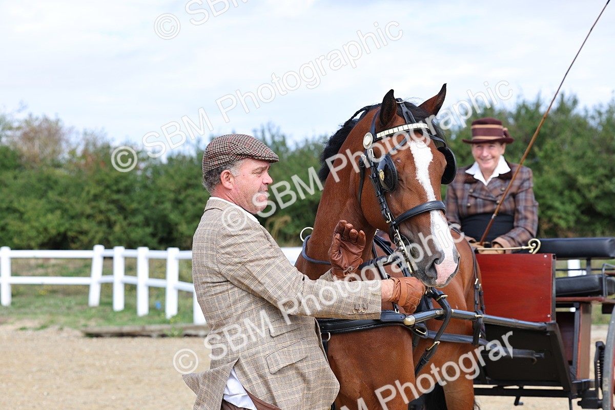 SBM_000936 - Class 8 - Novice Horse or Pony to any vehicle