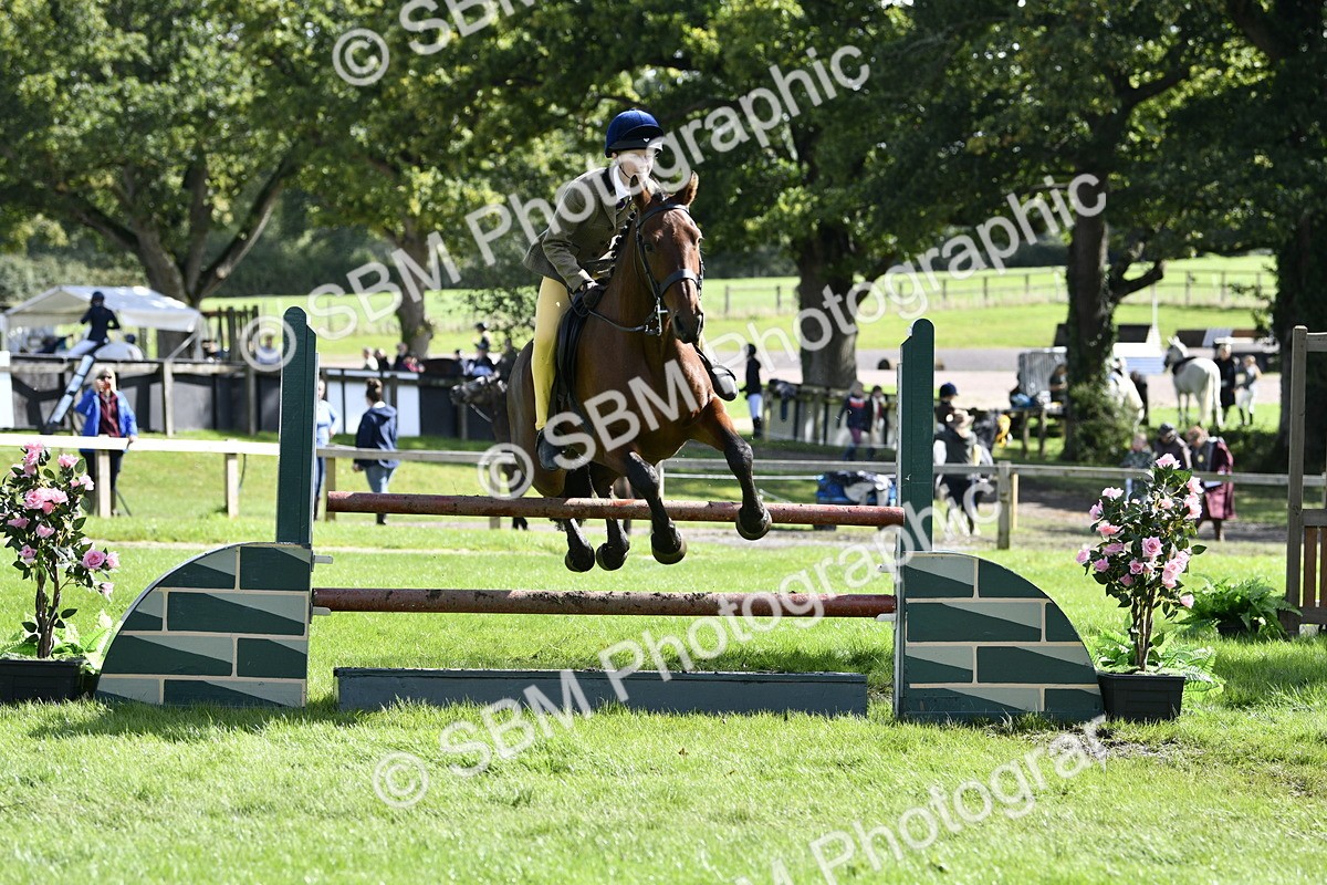SBM_45714 - S33 - Working Hunter Pony