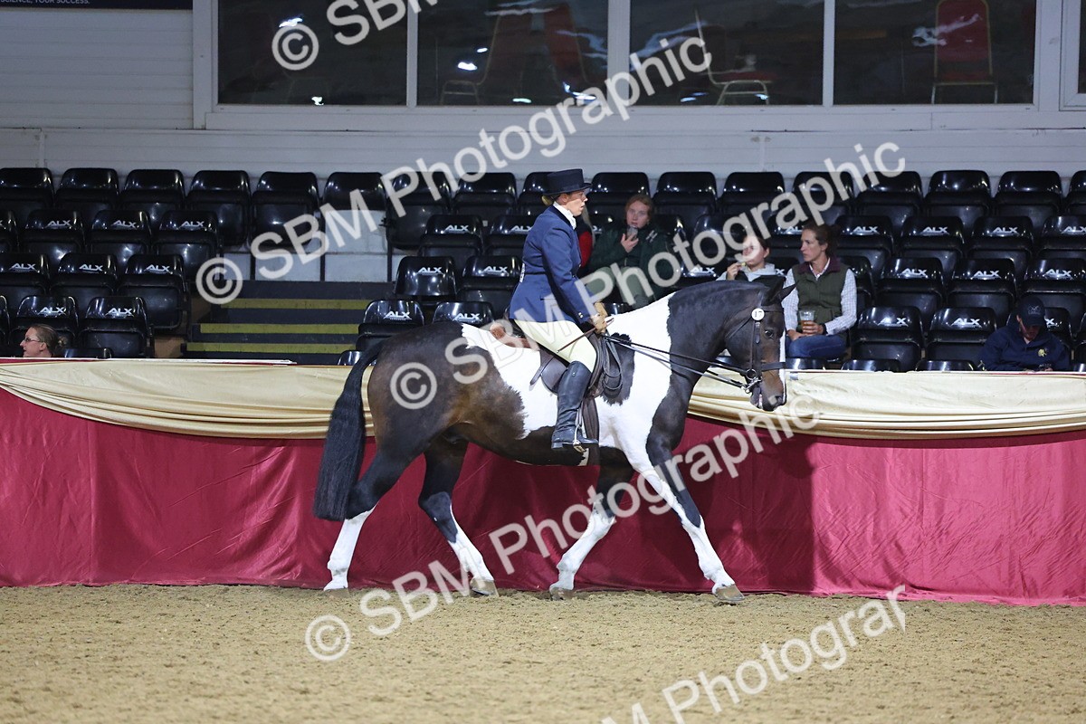 SBM_19118 - Class I Competition/ Riding Club Champ