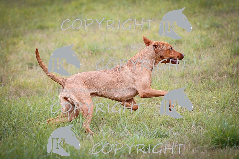 _R6A5795 - 11.10am - 12pm