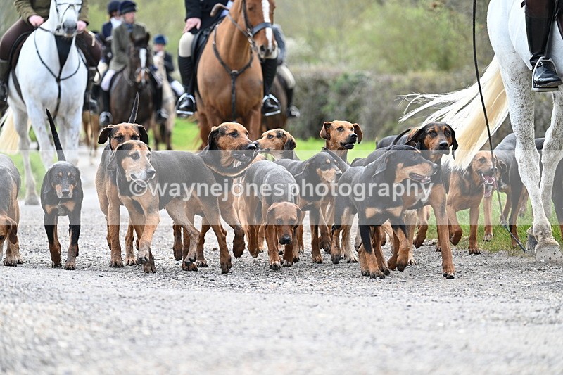 WJ7_9804 - Walk Home