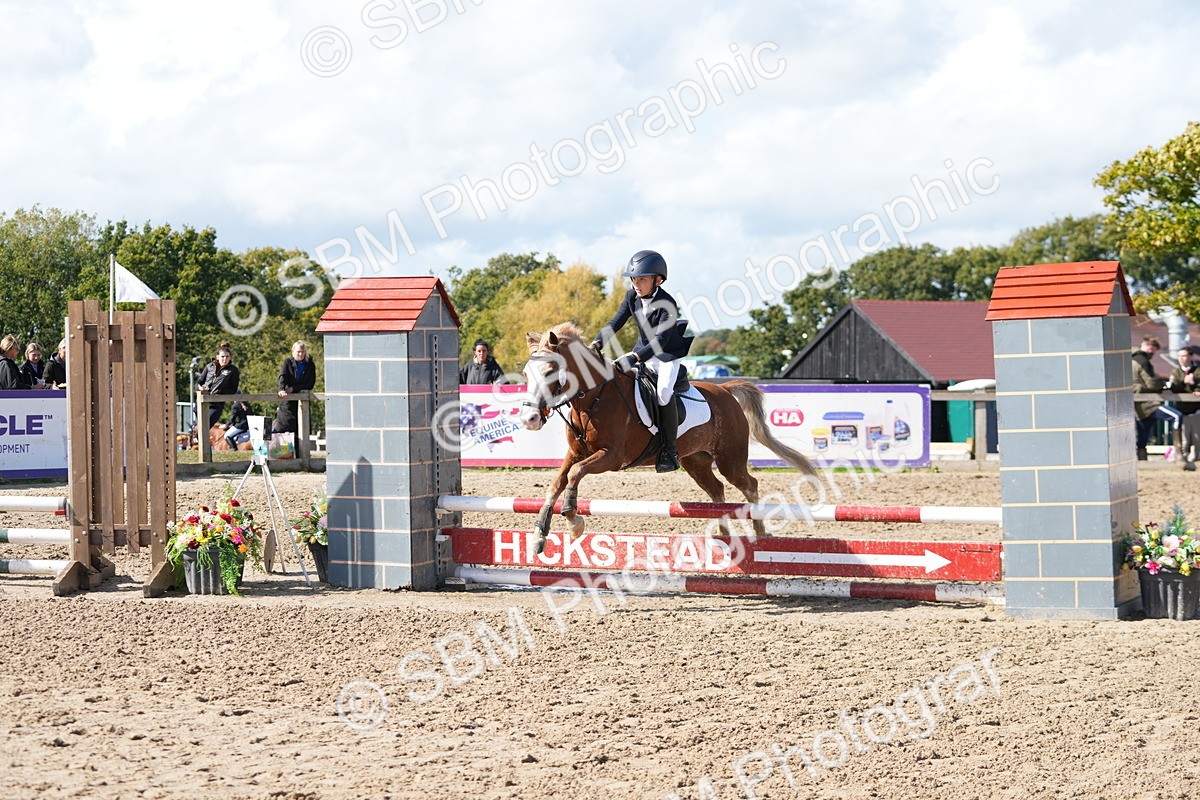 SBM_46535 - J7 - Junior Pony 60cm Championship