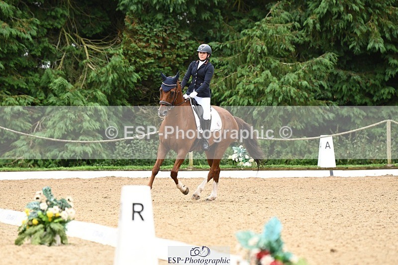 240811-102220-04996 - 110-Helen.Kitto-Da.Vinci.IV