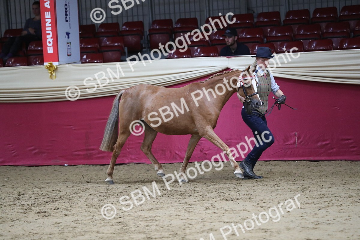 SBM_04975 - Class 8R- Regional -IH Veteran
