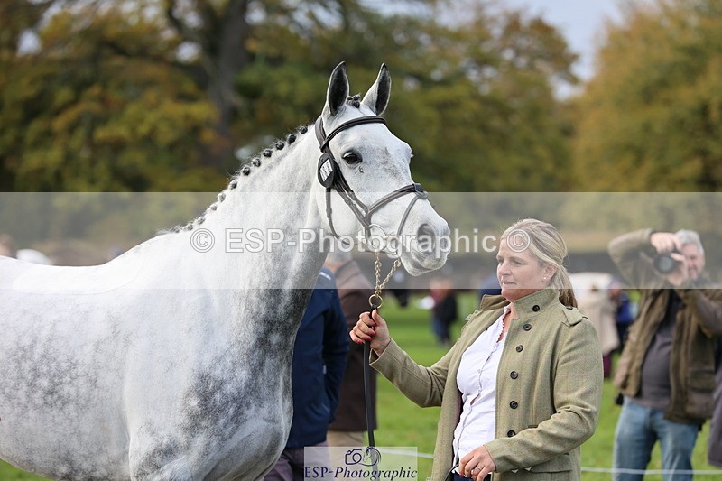 251026A-102956-23046 - E-388-Charlotte.Rowe