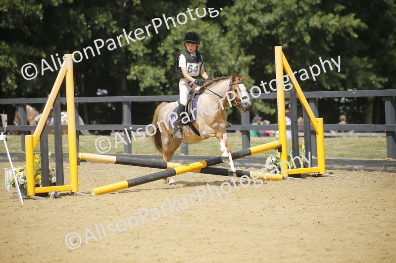 20250622-4066 - 50cm