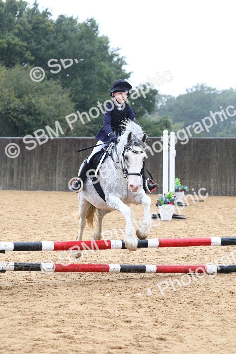 SBM_71703 - J4 - Mini Tour Junior Pony 45cm Championship