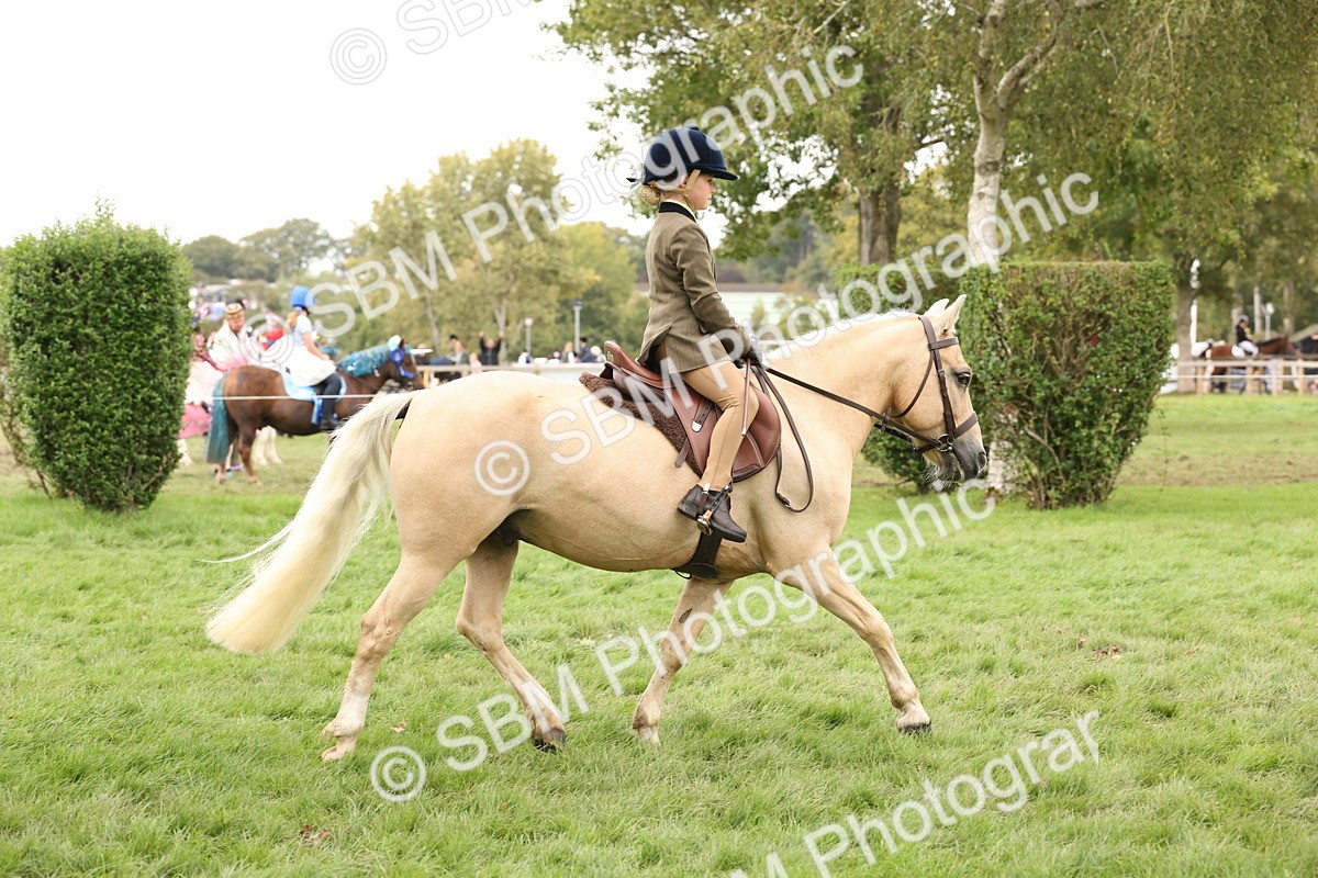 SBM_63037 - S64 - Foreign Breeds Ridden