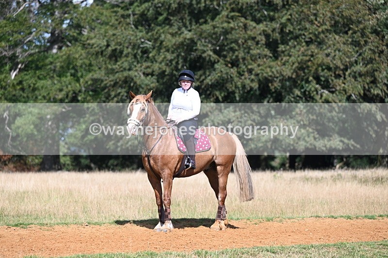 DSC_0207 - Time at Statue 15:58 to 16:05