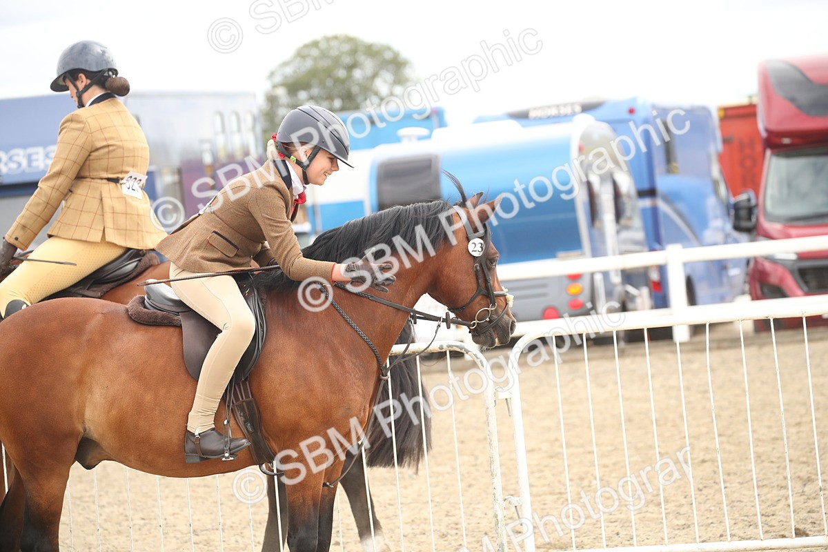 SBM_16795 - Class 507b - Working Veteran 60cm (20+)