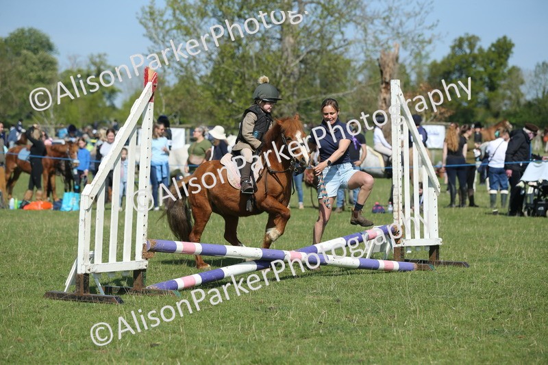 20250427-1153 - Class 1 - Mini Jumping Lead Rein or Assisted