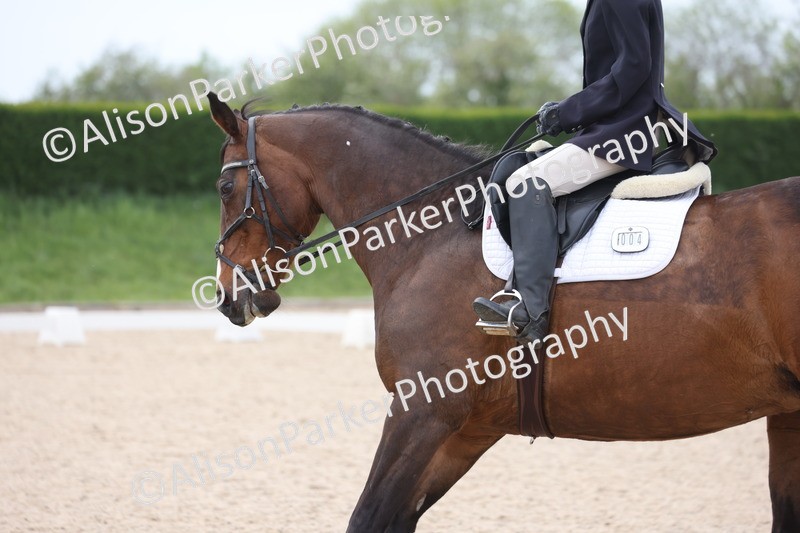 20260502-1095 - Class 9 - Novice 1