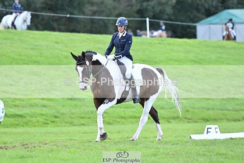 231020-145317-11012 - 669-FOXRIDGE.HIGH.JINX-Claire.Deuten-DR