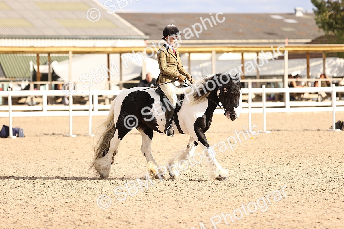 SBM_18247 - Class 423 - Equitation (best rider) Adult