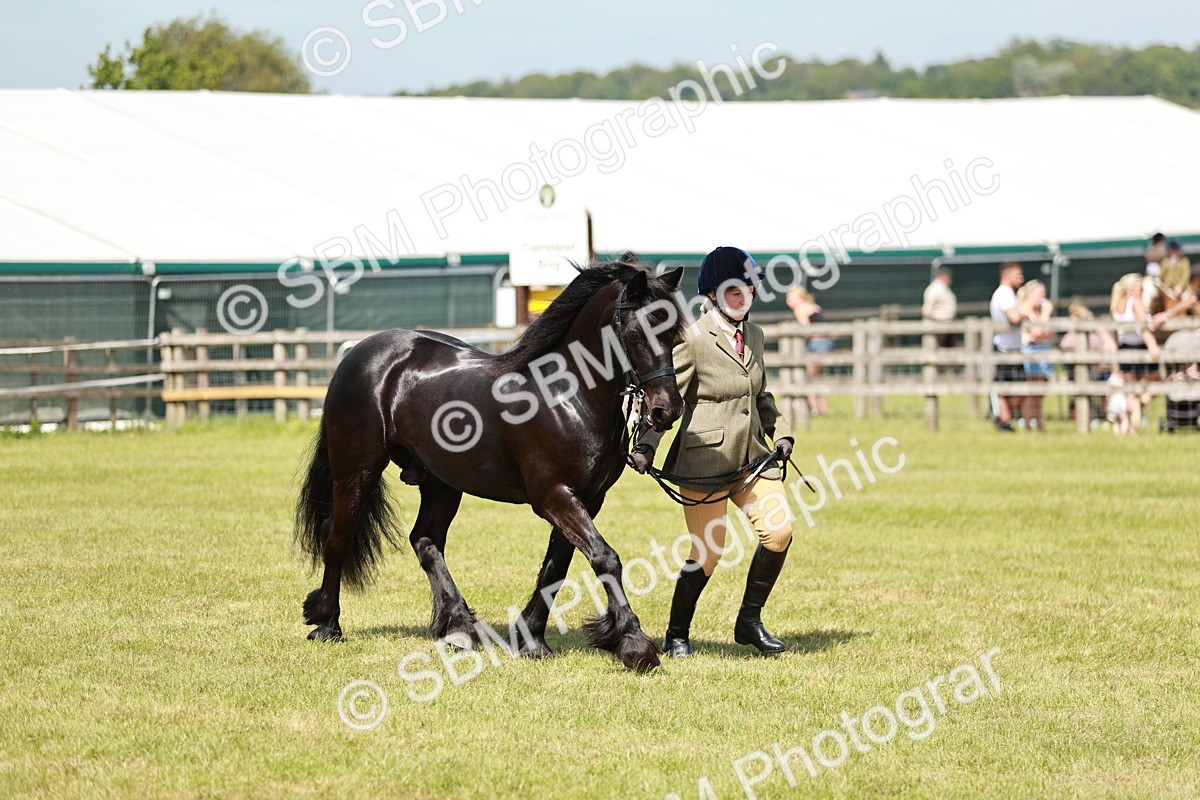 SBM_07184 - Class 26-30 - Mountain and Moorland Ridden