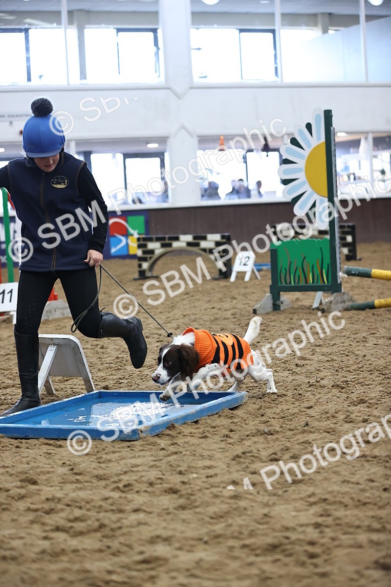 SBM_001211 - Class 3 - Horse & Hound 60cm