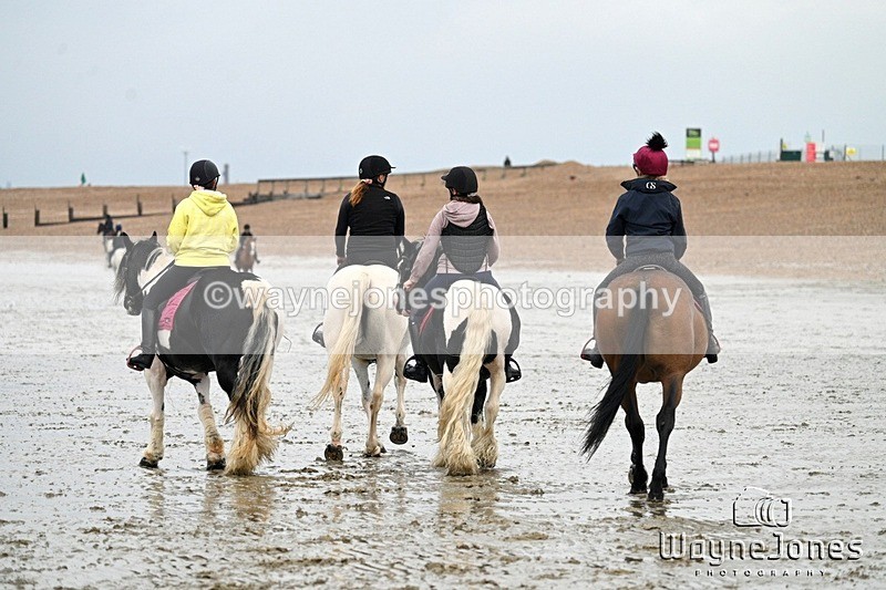 WJ7_0043 - Hayling Island Beach Shoot 22-09-24