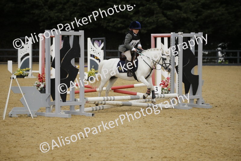 20250622-1472 - 40cm