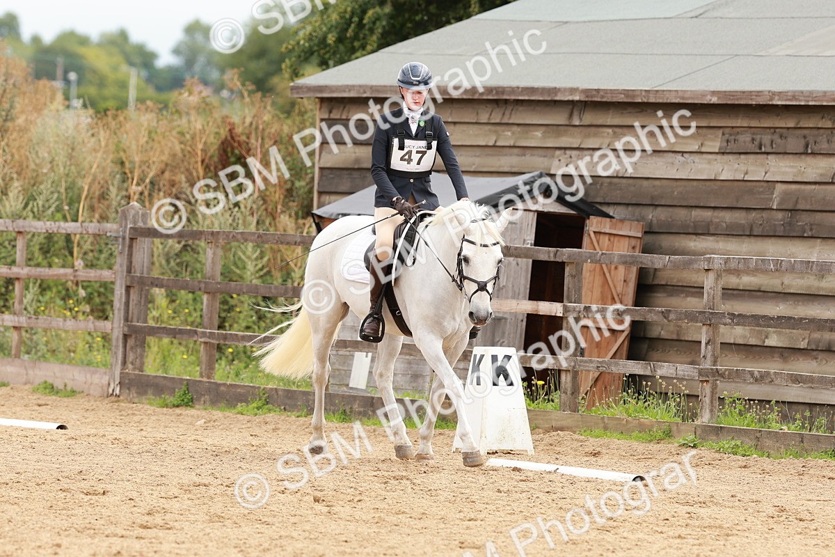 SBM_001633 - Novice 1