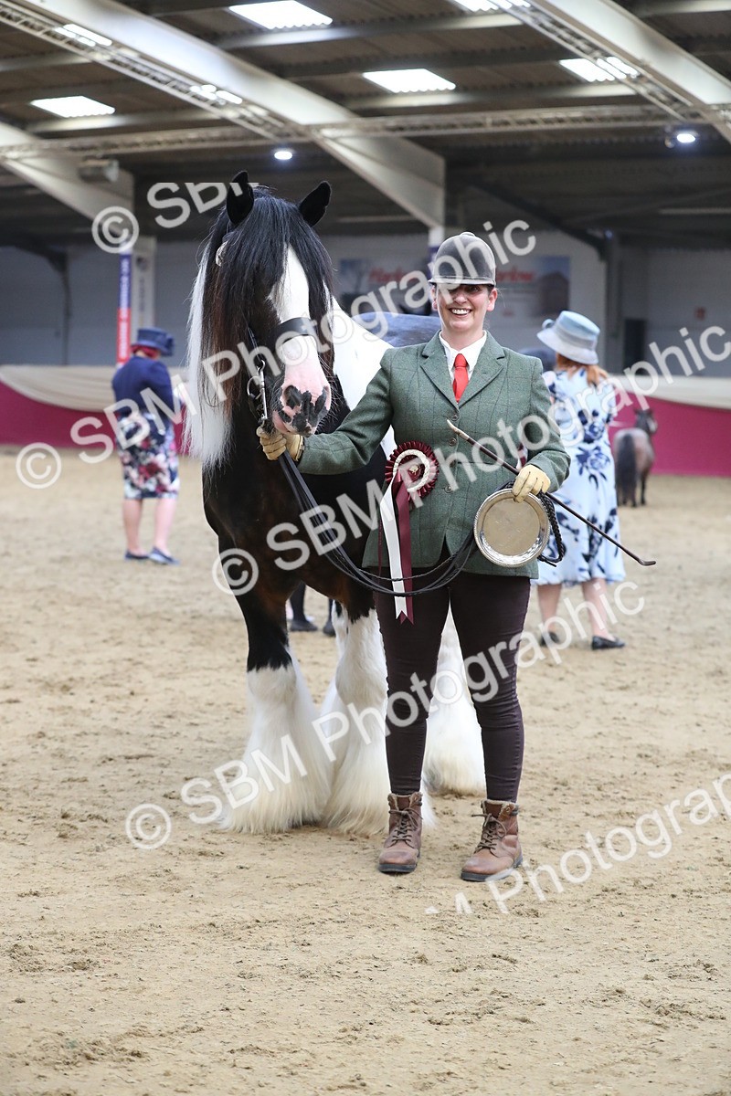SBM_06455 - Class 9R Regional- IH Pre Vet