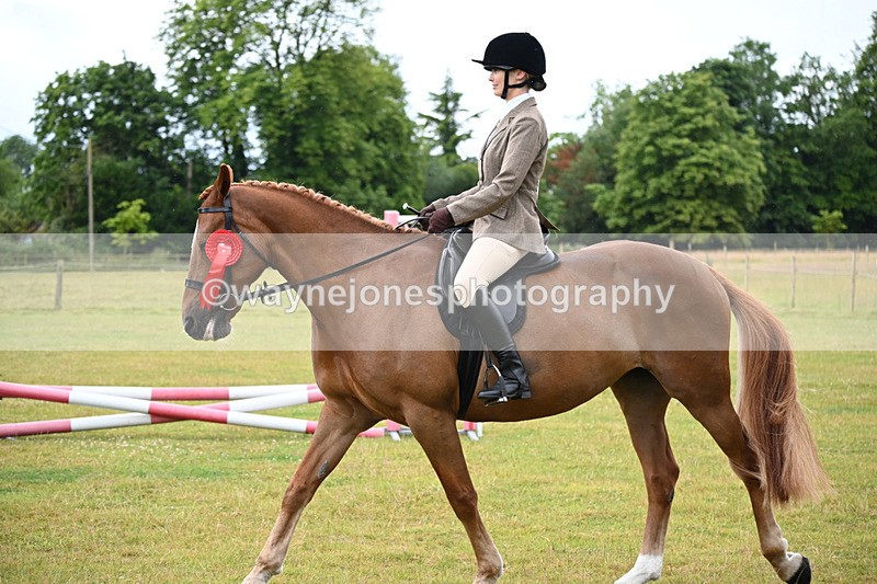 WJ6_8637 - Class 9 Tack & Turned out