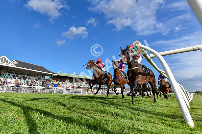 090925-Race 7-Original Thinker-1799 - Race 7