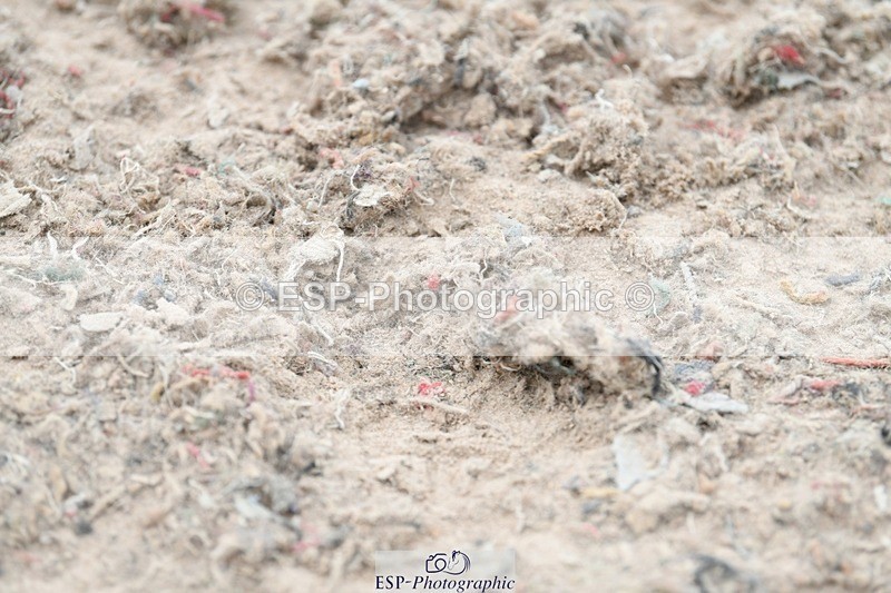 250807-141630-01600 - 1m plus Round 2