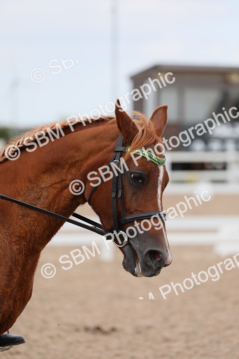 SBM_05637 - Class 32 Novice 1