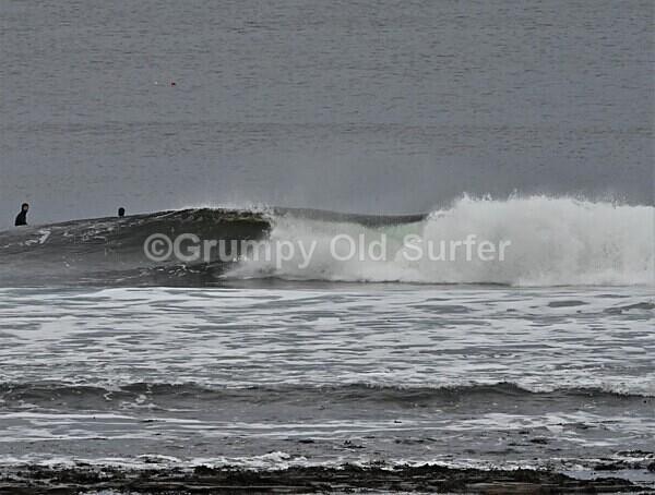 DSC_9067 - Thurso 6th November 2022