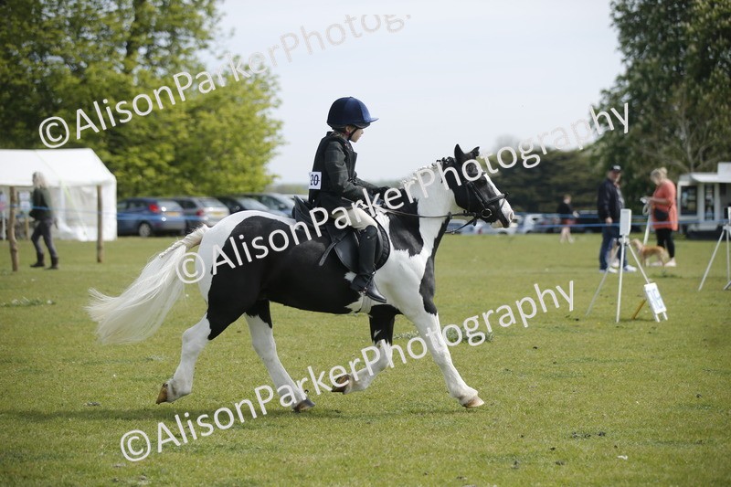 20260426-1303 - Class 2 - Mini Jumping