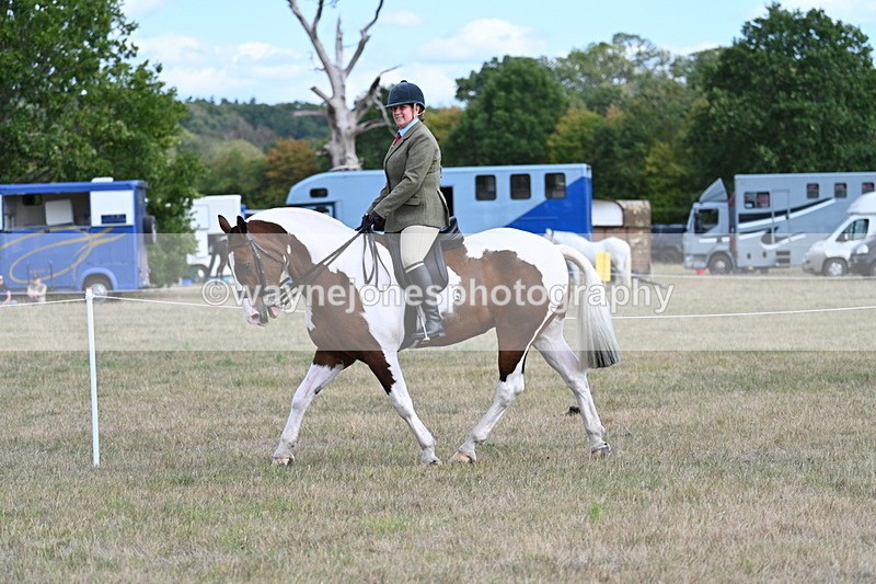 WJ7_6942 - Class 14 Ridden Coloured