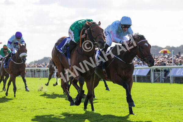 yr08102022r2-28 - Race 2 2.05pm The Coral Rockingham Stakes