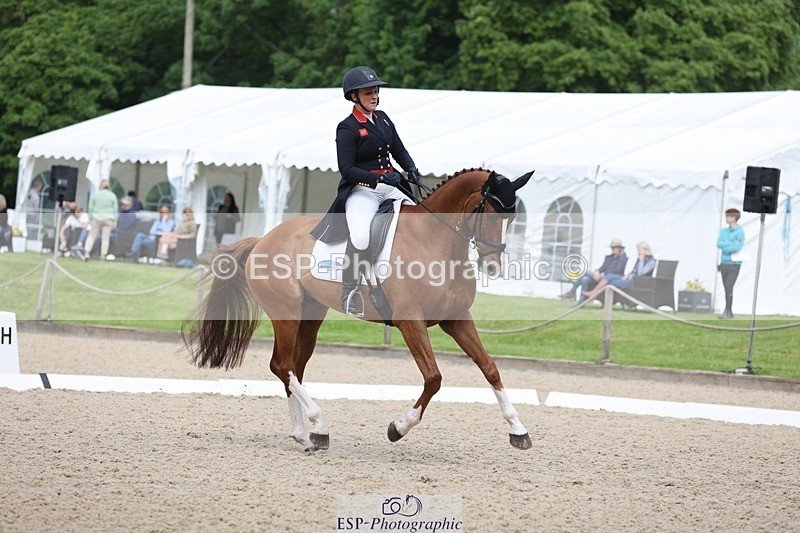 240524-103710-07462 - 263-CHILLI_MORNING_IV-Gemma_Stevens