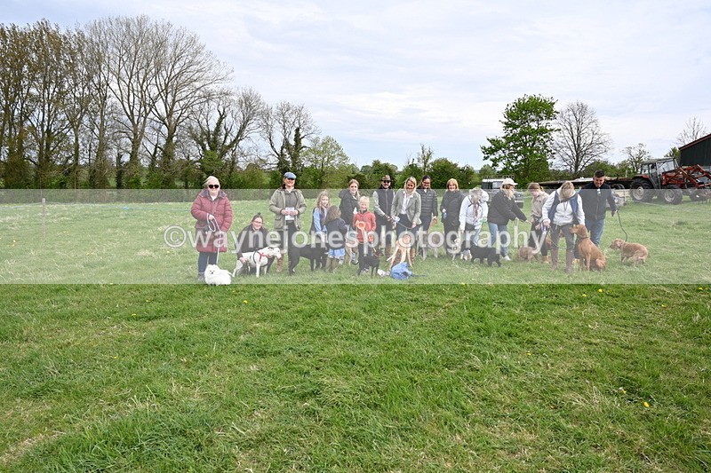 WJ6_8186 - Class 2 Best Pedigree