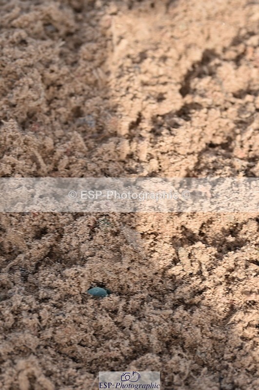 231015A-130604-08202 - Cls 25 95cm Amateur Q 2nd R