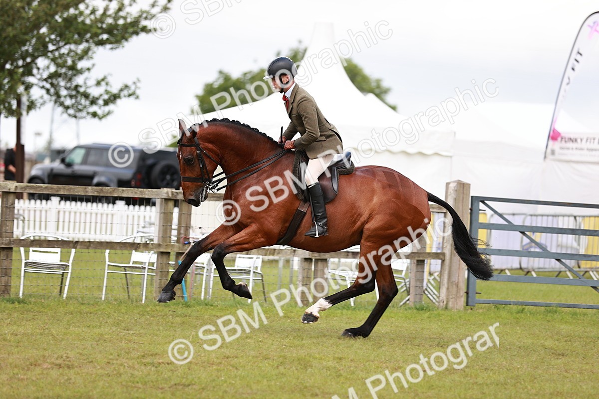 SBM_10792 - Class 81-84 - RIHS Ridden hunters Inc Ladies Hunter