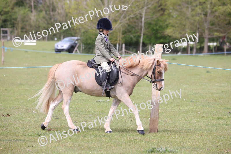 20260426-2908 - Class 33 - Best Pony 14.2hh and Under