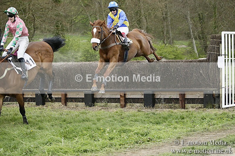 PtP 170417 540 - Old Berks Point-to-Point Lockinge 17/04/17