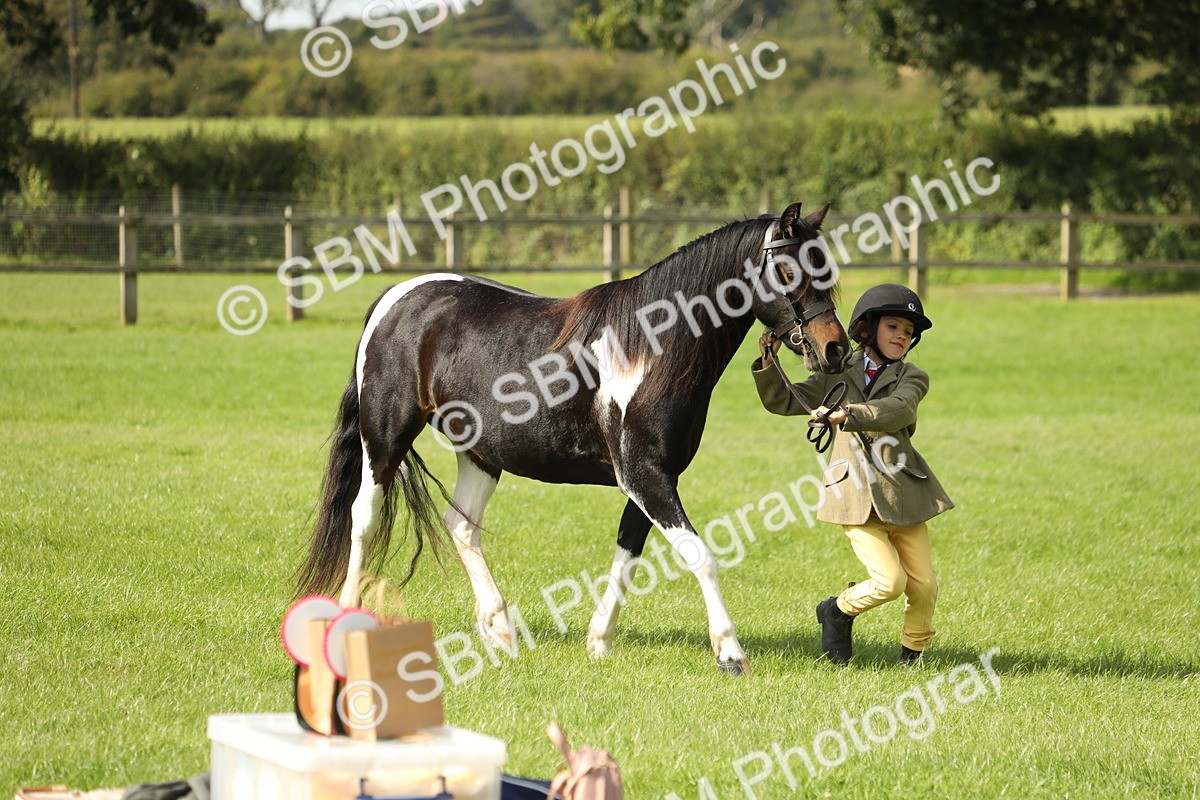 SBM_67780 - S39 - Junior Handler 8  Years & Under