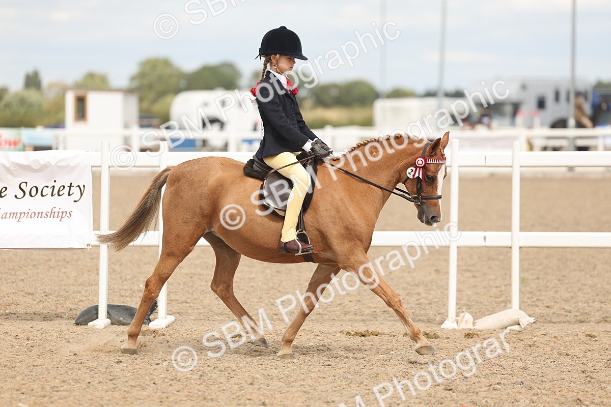 SBM_15966 - Class 311 - Ridden Show pony-Show hunter Pony