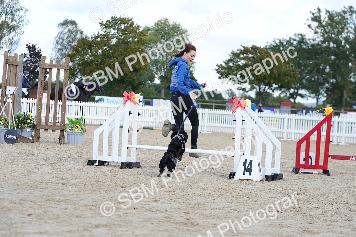 SBM_29192 - J43 - Horse & Hound Open 50cm