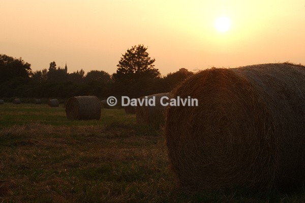 Hay Bales - Rural