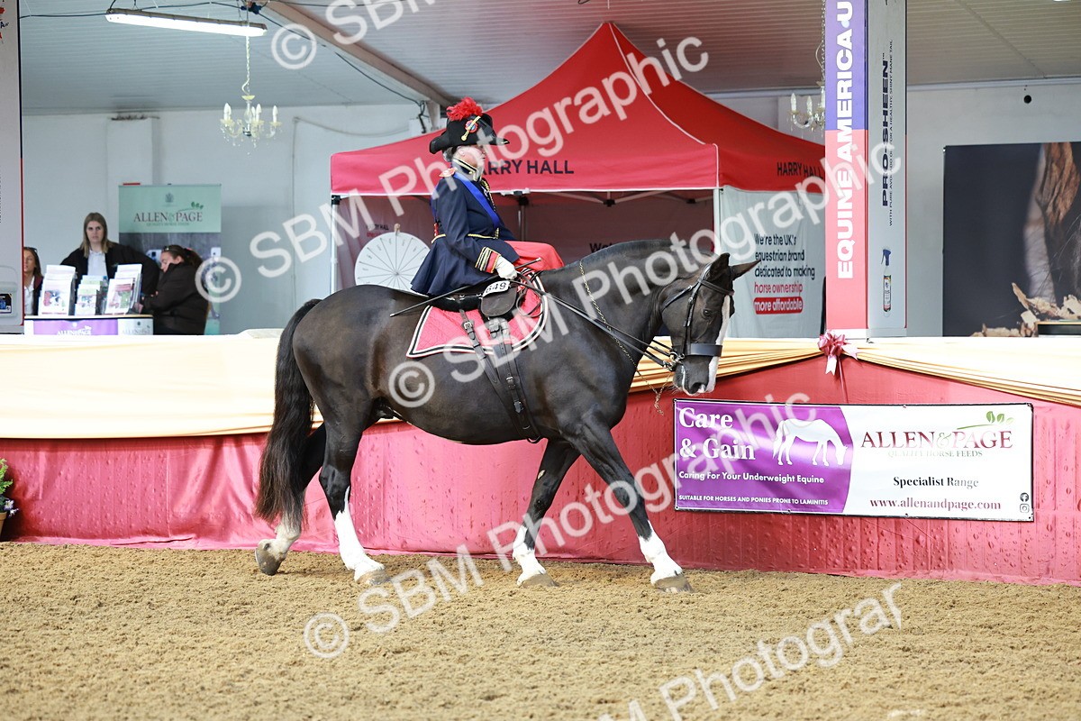 SBM_13532 - Class 105 - Ridden Costume - Side Saddle