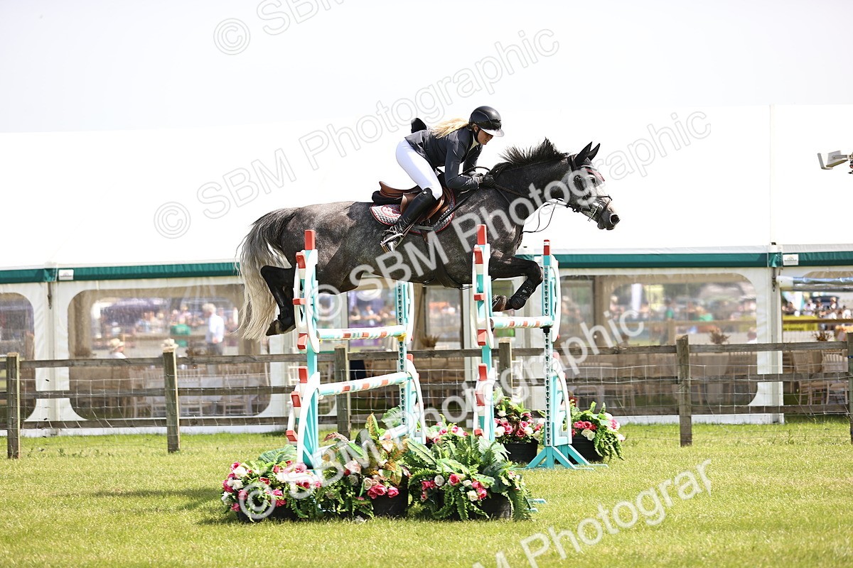 SBM_03241 - Class 201 - British Horse Feedds Speedi Beet HOYS Grade C