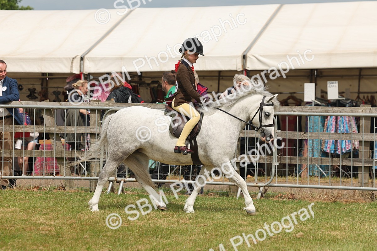 SBM_06860 - Class 74-75 - M&M Lead Rein and First Ridden Pony