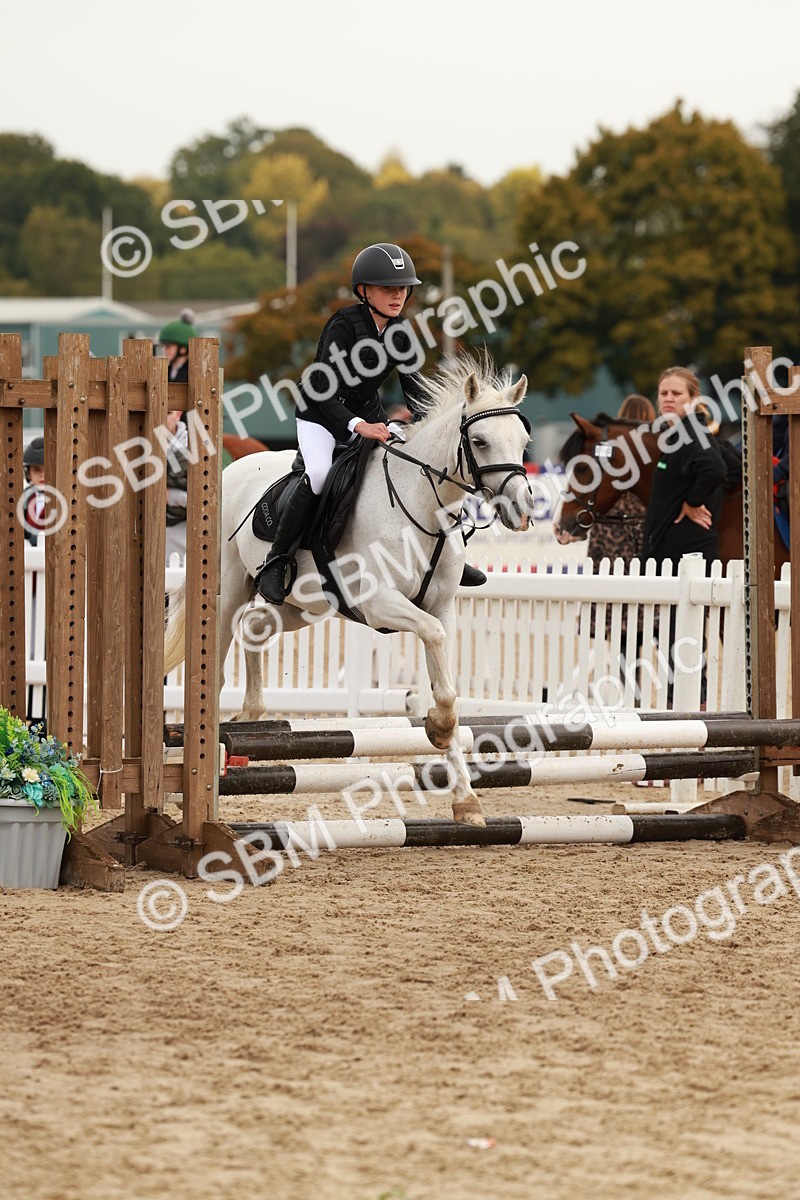 SBM_57630 - J11 - Junior Pony 50cm Championship