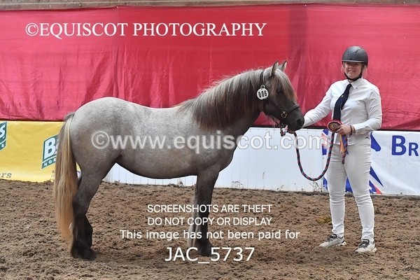JAC_5737 - 6 Glenmuir Niamh