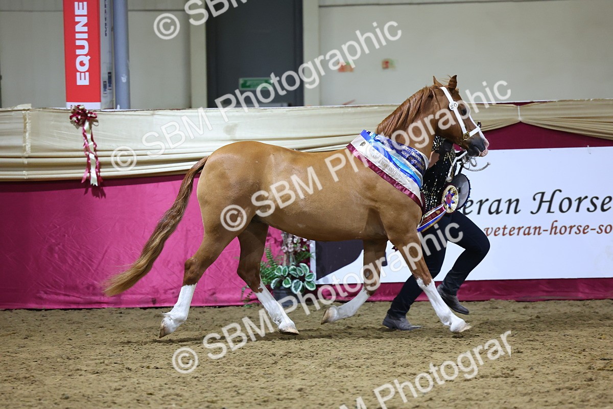 0B8A4433 - Class N M&M Champ