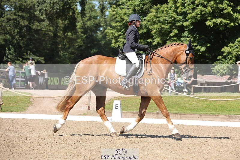 240719-104045-00768 - 223-Deborah_Randall-Sandy's_Bertie