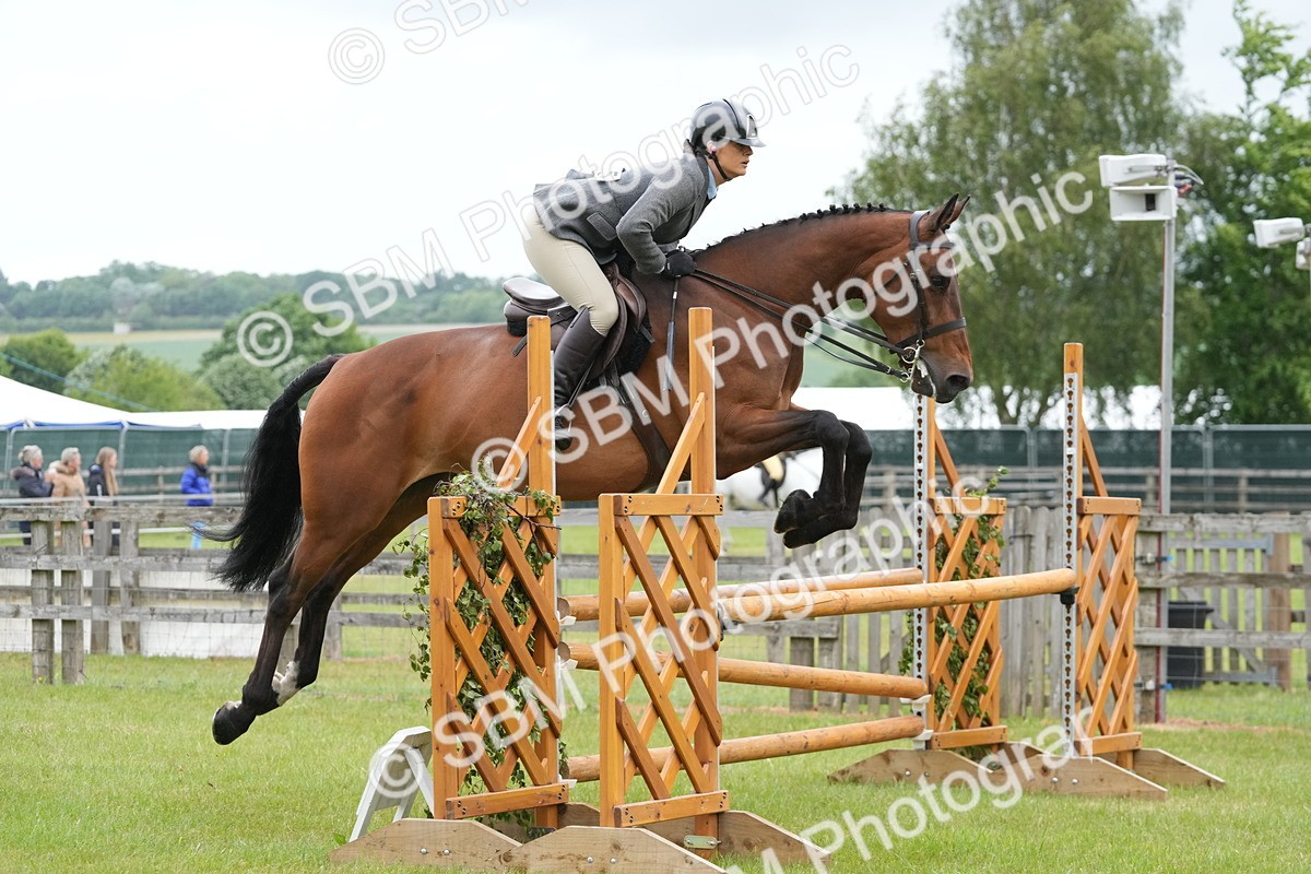 SBM_12629 - Class 97-98 - LIHS BSHA Rising Star Working Show Horse Hunter